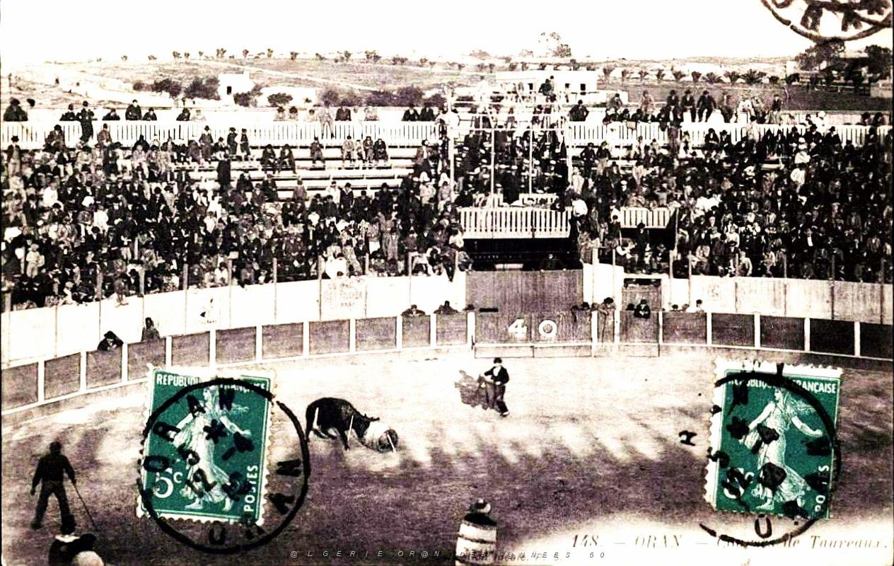 Oran -Arenes de Gambetta - Course de Taureaux - 1910.jpg